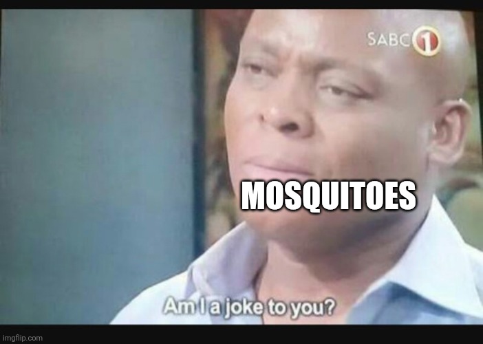 Am I a joke to you? | MOSQUITOES | image tagged in am i a joke to you | made w/ Imgflip meme maker