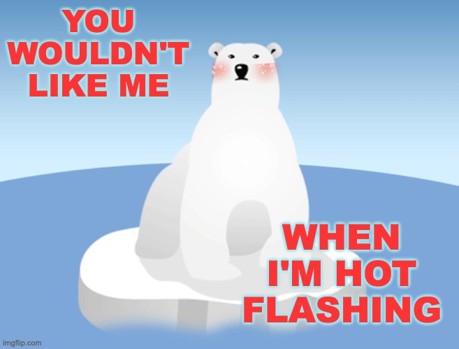 Let's save the things while we still have them | YOU WOULDN'T LIKE ME WHEN I'M HOT FLASHING | image tagged in polar bear,climate change,heat,danger,extinction | made w/ Imgflip meme maker