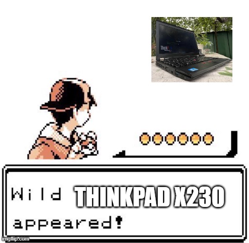 *Pokemon theme starts playing* | THINKPAD X230 | image tagged in blank wild pokemon appears | made w/ Imgflip meme maker