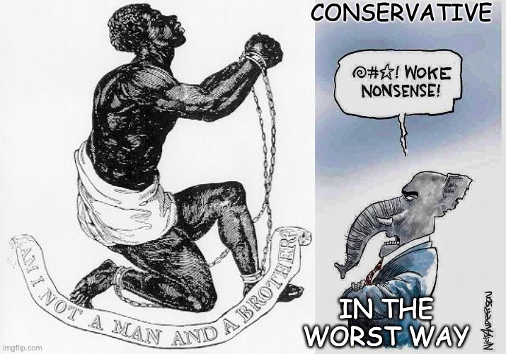 a series inspired by Whistlelock: feel free to add to it! | CONSERVATIVE; IN THE WORST WAY | image tagged in hypocrisy,kindness,history,gop woke nonsense,slavery | made w/ Imgflip meme maker
