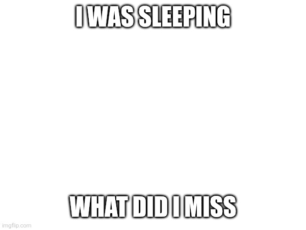 I WAS SLEEPING; WHAT DID I MISS | image tagged in topic of sans | made w/ Imgflip meme maker