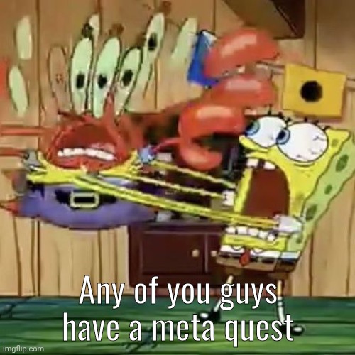 SpongeBob shaking Mr. Krabs | Any of you guys have a meta quest | image tagged in spongebob shaking mr krabs | made w/ Imgflip meme maker