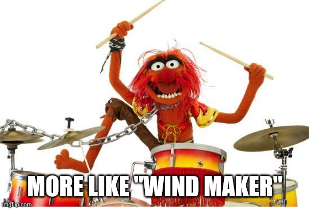 animal drums | MORE LIKE "WIND MAKER" | image tagged in animal drums | made w/ Imgflip meme maker