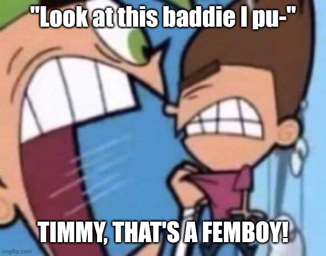 Cosmo yelling at timmy | "Look at this baddie I pu-"; TIMMY, THAT'S A FEMBOY! | image tagged in cosmo yelling at timmy | made w/ Imgflip meme maker