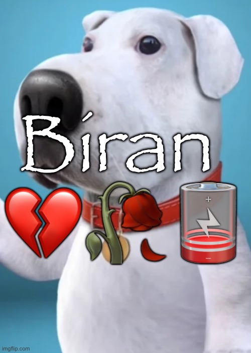 Biran 
💔🥀🪫 | made w/ Imgflip meme maker