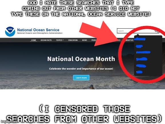 i really hate those searches coming out from other websites, they are so annoying | GOD I HATE THESE SEARCHES THAT I TYPE COMING OUT FROM OTHER WEBSITES (I DID NOT TYPE THESE ON THE NATIONAL OCEAN SERVICE WEBSITE); (I CENSORED THOSE SEARCHES FROM OTHER WEBSITES) | image tagged in blank white template,google,memes,annoying,search | made w/ Imgflip meme maker