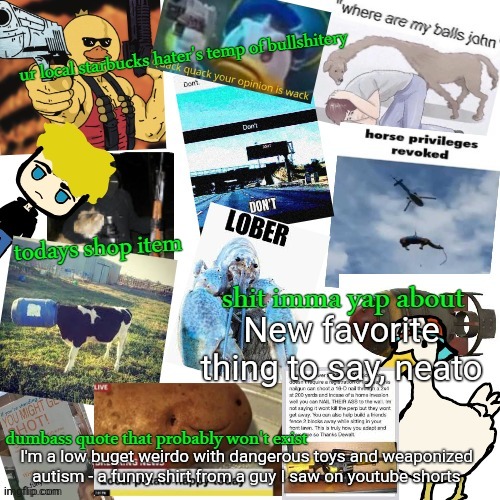 The last one was awesome sauce | New favorite thing to say, neato; I'm a low buget weirdo with dangerous toys and weaponized autism - a funny shirt from a guy I saw on youtube shorts | image tagged in temp of bullshitery | made w/ Imgflip meme maker