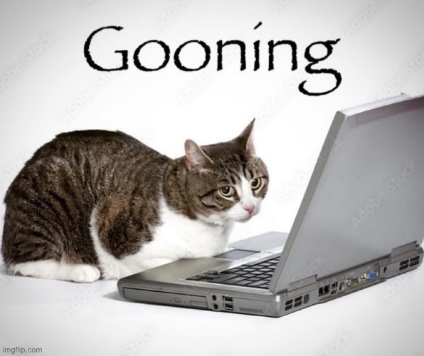 Gooning | image tagged in gooning | made w/ Imgflip meme maker