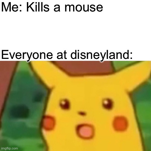 Surprised Pikachu | Me: Kills a mouse; Everyone at disneyland: | image tagged in memes,surprised pikachu | made w/ Imgflip meme maker