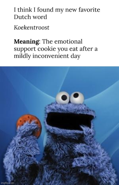 Cookie | image tagged in cookie monster,emotional,support,annoying | made w/ Imgflip meme maker