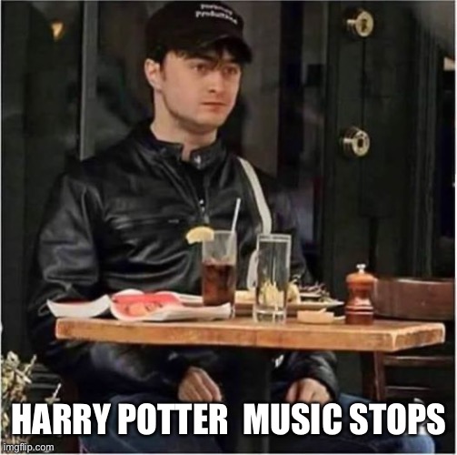 HARRY POTTER  MUSIC STOPS | image tagged in harrypotter | made w/ Imgflip meme maker