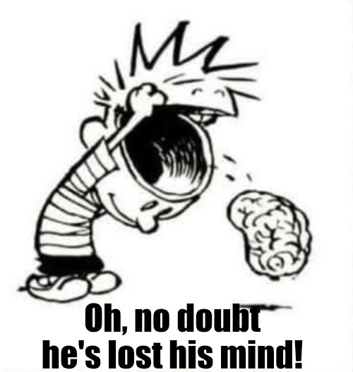 Have you lost your mind | Oh, no doubt he's lost his mind! | image tagged in have you lost your mind | made w/ Imgflip meme maker