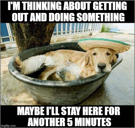 One Cool Dog ! | I'M THINKING ABOUT GETTING 
OUT AND DOING SOMETHING; MAYBE I'LL STAY HERE FOR
 ANOTHER 5 MINUTES | image tagged in dogs,cool,bath | made w/ Imgflip meme maker