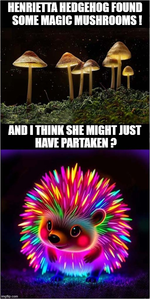 She Doesn't Remember Last Nights Forage ! | HENRIETTA HEDGEHOG FOUND
  SOME MAGIC MUSHROOMS ! AND I THINK SHE MIGHT JUST 
HAVE PARTAKEN ? | image tagged in hedgehog,magic mushrooms,drugs,hallucinate,dark humour | made w/ Imgflip meme maker