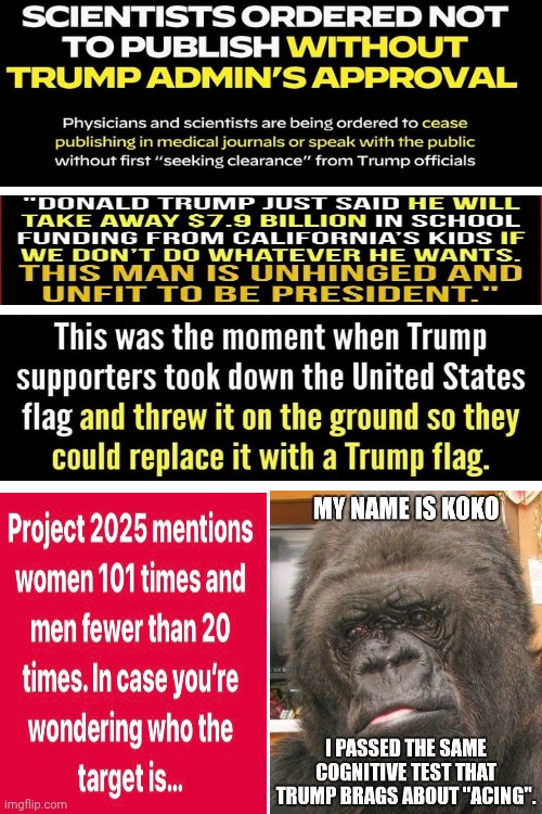 col·lage /kəˈläZH/ noun A Unique Piece Of Art Made By Sticking Various Different Materials Together | image tagged in memes,maga,maga terrorists,lock trump up,special kind of stupid,trump is a convicted rapist | made w/ Imgflip meme maker