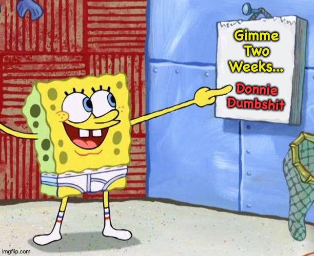Today On The Calendar | Gimme
Two
Weeks... Donnie
Dumbshit | image tagged in today on the calendar | made w/ Imgflip meme maker