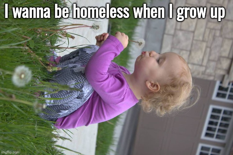 A wish | I wanna be homeless when I grow up | image tagged in a wish | made w/ Imgflip meme maker