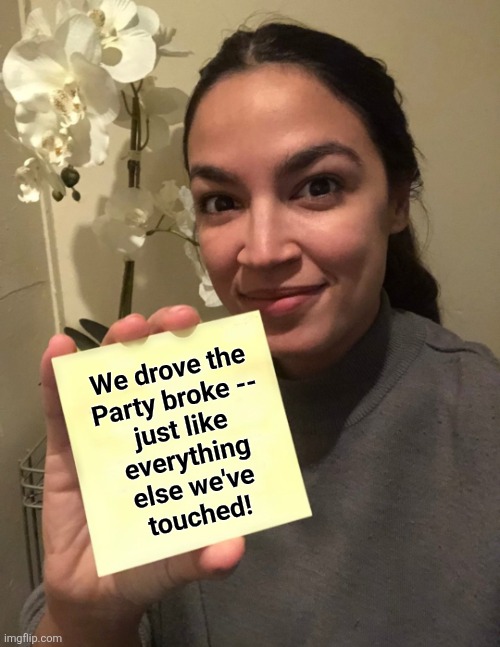 AOC post it | We drove the
Party broke --
just like
everything
else we've
touched! | image tagged in aoc post it,democrats,broke,incompetence,dnc,bankrupt | made w/ Imgflip meme maker