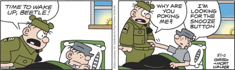 Beetle Bailey | image tagged in comics | made w/ Imgflip meme maker