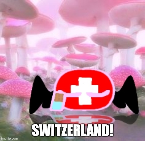 I made this during outside | SWITZERLAND! | image tagged in countryballs,switzerland,memes,fun | made w/ Imgflip meme maker