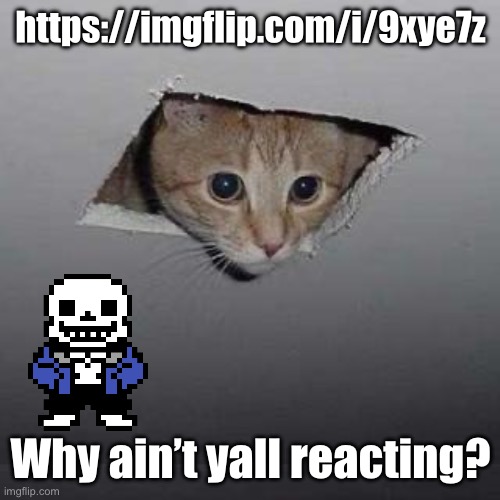 Memepluh | https://imgflip.com/i/9xye7z; Why ain’t yall reacting? | image tagged in memes,ceiling cat,sans of topic | made w/ Imgflip meme maker