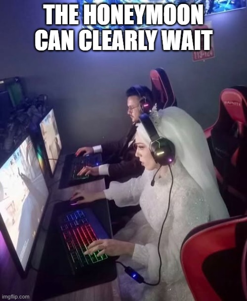 Gamer Wife | THE HONEYMOON CAN CLEARLY WAIT | image tagged in video games | made w/ Imgflip meme maker