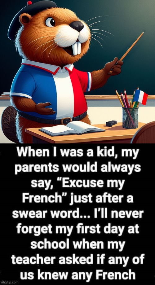 When dad says "Pardon my french" | image tagged in french beaver teacher | made w/ Imgflip meme maker