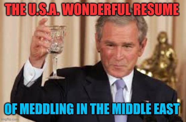 GW Bush Toast | THE U.S.A. WONDERFUL RESUME OF MEDDLING IN THE MIDDLE EAST | image tagged in gw bush toast | made w/ Imgflip meme maker