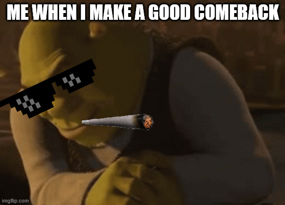 shrek rizz 2 | ME WHEN I MAKE A GOOD COMEBACK | image tagged in shrek rizz 2 | made w/ Imgflip meme maker
