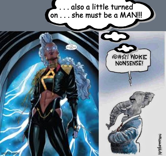 Because the hypocrisy and the unkindness continues | . . . also a little turned on . . . she must be a MAN!!! | image tagged in gop woke nonsense,marvel comics,x men,storm,women,black | made w/ Imgflip meme maker