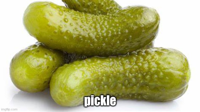 pickle | pickle | image tagged in pickle,pickles,fun,funny,food,food memes | made w/ Imgflip meme maker