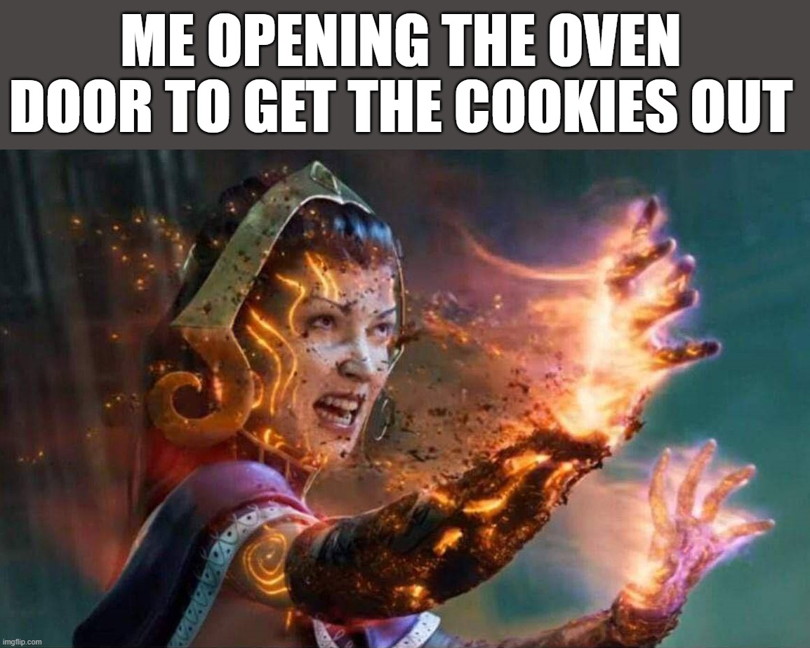 Baking in the summer | ME OPENING THE OVEN DOOR TO GET THE COOKIES OUT | image tagged in cookies | made w/ Imgflip meme maker
