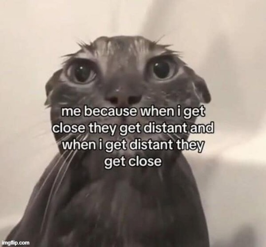 image tagged in memes,meme,funny,cat,cats,sad | made w/ Imgflip meme maker