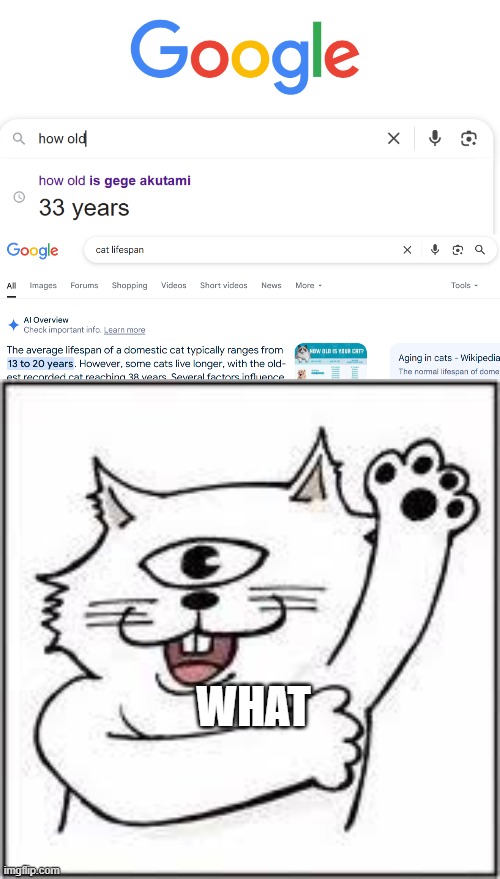 WHATTTT | WHAT | image tagged in gege akutami | made w/ Imgflip meme maker