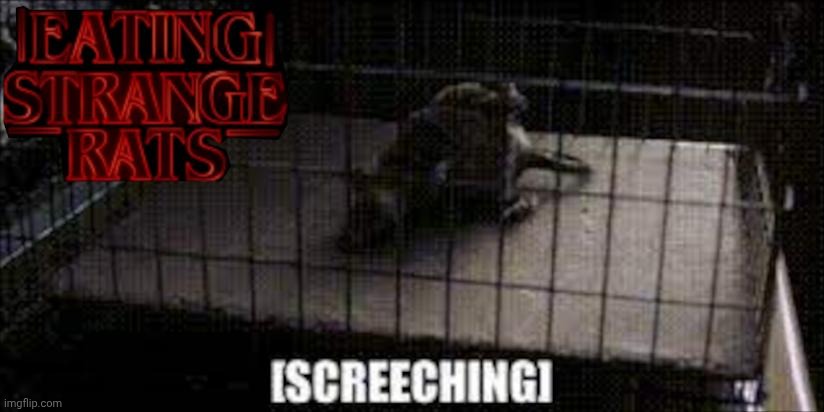 Introducing stranger things season 6 | image tagged in stranger things,strange,rats,eating healthy | made w/ Imgflip meme maker