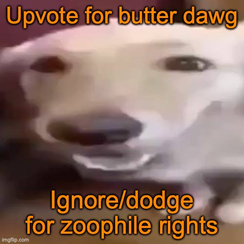 Butter dog | Upvote for butter dawg Ignore/dodge for zoophile rights | image tagged in butter dog | made w/ Imgflip meme maker