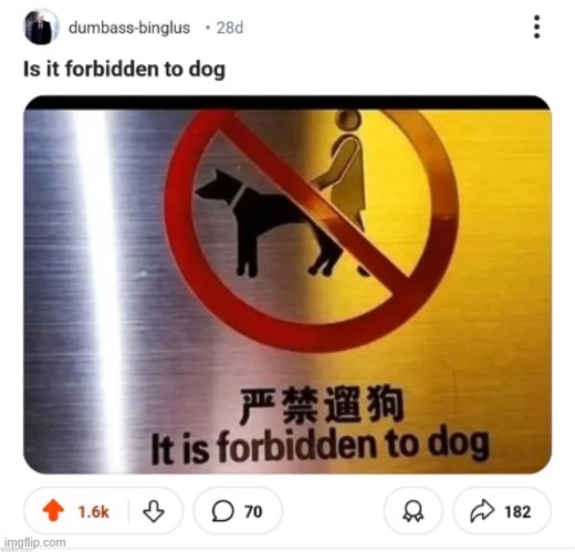 it is forbidden to dog | image tagged in memes,meme,funny,dog,dogs,fail | made w/ Imgflip meme maker