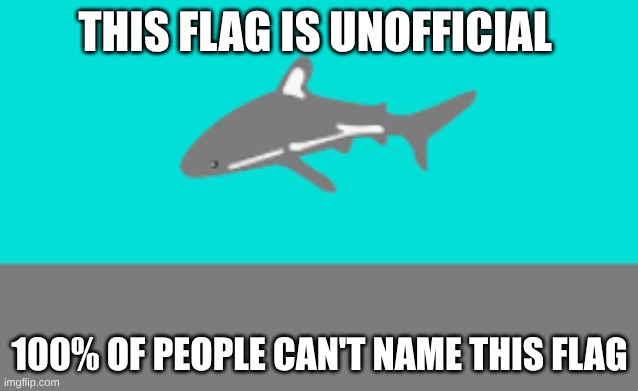THIS FLAG IS UNOFFICIAL; 100% OF PEOPLE CAN'T NAME THIS FLAG | made w/ Imgflip meme maker