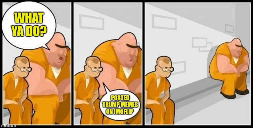 What are you in for? | WHAT YA DO? POSTED TRUMP MEMES ON IMGFLIP | image tagged in what are you in for | made w/ Imgflip meme maker