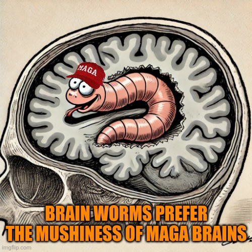 RFK Jr Brain Worm | BRAIN WORMS PREFER THE MUSHINESS OF MAGA BRAINS | image tagged in rfk jr brain worm | made w/ Imgflip meme maker