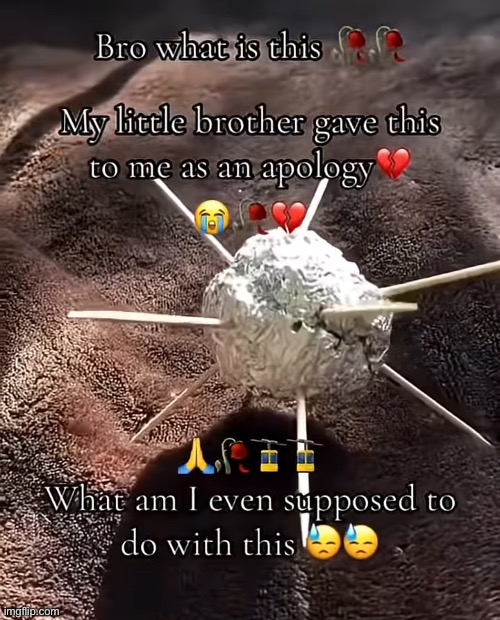 The ever so devious sea urchin: | image tagged in gifs,memes,funny,shitpost,diary of a wimpy kid,g | made w/ Imgflip meme maker