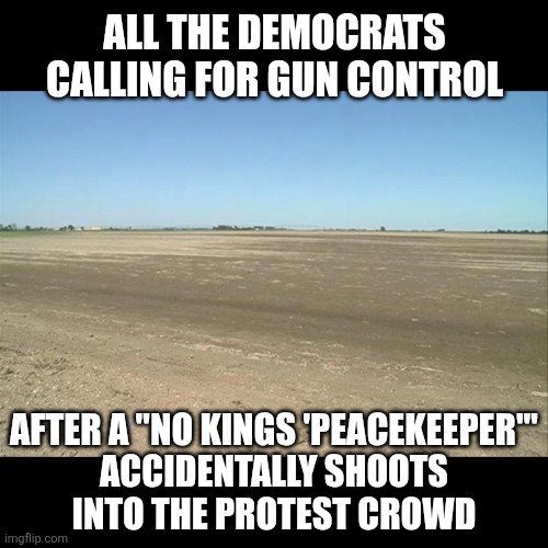 we need commonsense liberal control | ALL THE DEMOCRATS CALLING FOR GUN CONTROL; AFTER A "NO KINGS 'PEACEKEEPER'"
ACCIDENTALLY SHOOTS
INTO THE PROTEST CROWD | image tagged in barren field | made w/ Imgflip meme maker