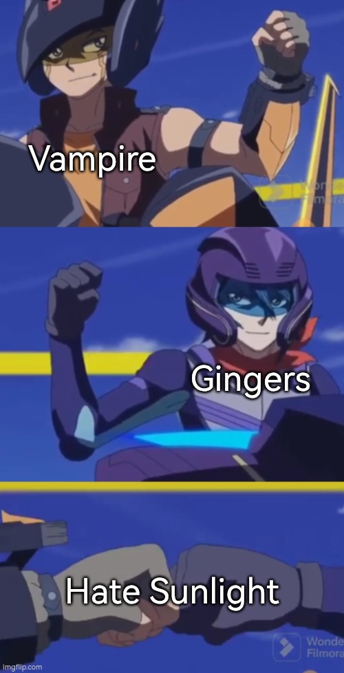 Gingers is Vampire, but as 10% Vampire and as 90% Human. | Vampire; Gingers; Hate Sunlight | image tagged in gingers,vampire,sunlight | made w/ Imgflip meme maker