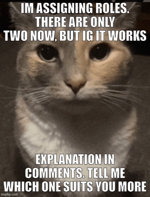 #3 | IM ASSIGNING ROLES. THERE ARE ONLY TWO NOW, BUT IG IT WORKS; EXPLANATION IN COMMENTS. TELL ME WHICH ONE SUITS YOU MORE | image tagged in cat dead stare,sans of topic | made w/ Imgflip meme maker