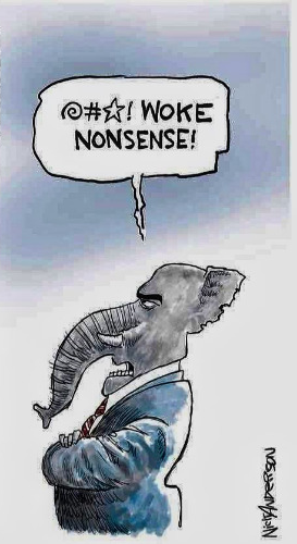 GOP woke nonsense Blank Meme Template