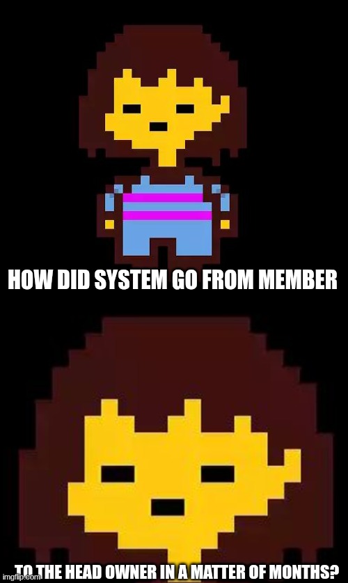 quick question | HOW DID SYSTEM GO FROM MEMBER; TO THE HEAD OWNER IN A MATTER OF MONTHS? | image tagged in undertale frisk | made w/ Imgflip meme maker