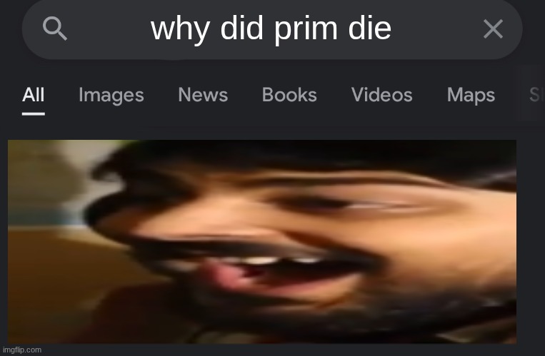 Fake search | why did prim die | image tagged in fake search | made w/ Imgflip meme maker