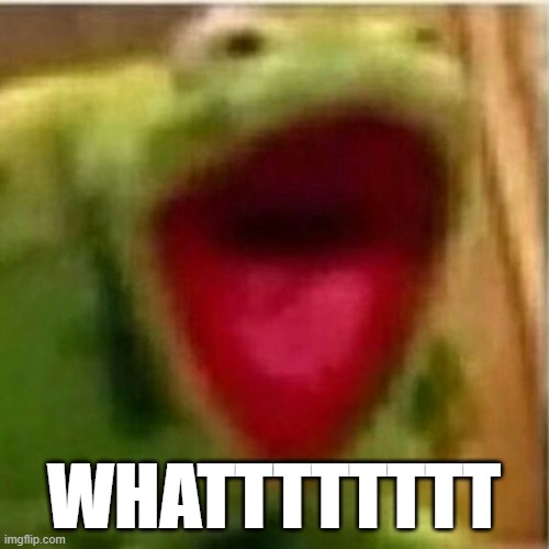 AHHHHHHHHHHHHH | WHATTTTTTTT | image tagged in ahhhhhhhhhhhhh | made w/ Imgflip meme maker