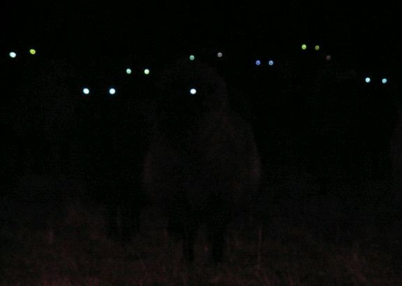 Glowing eyes in the dark Blank Meme Template