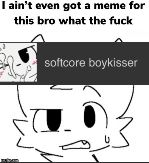 I don’t even have a reaction age for this being a template | image tagged in boykisser meme | made w/ Imgflip meme maker